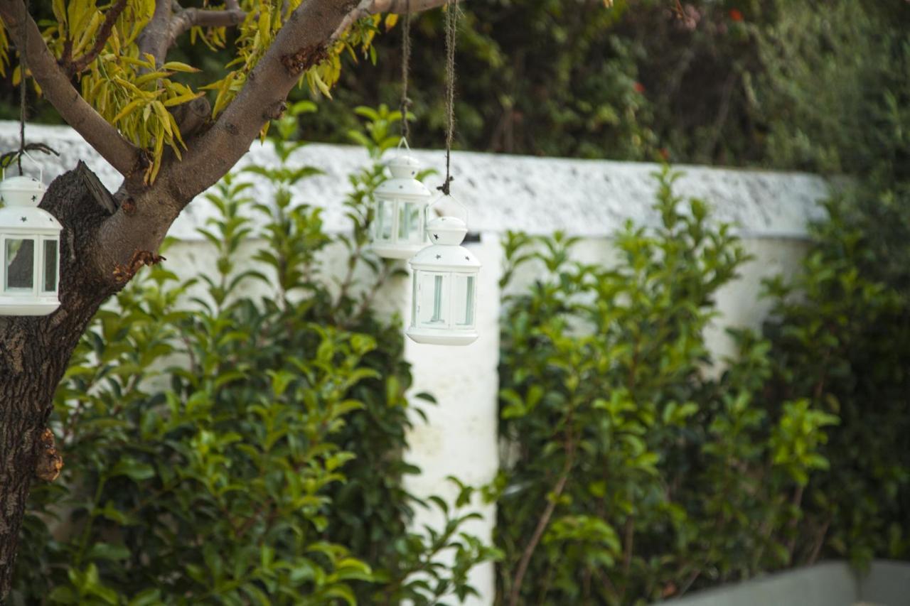 Villa Adelaide Suite & Room Torre A Mare Eksteriør billede